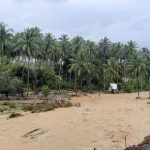 254DF3E1-758C-4E45-8712-17DA628BF8BF