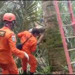 IMG_20211008_161616102