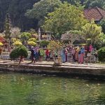 IMG_20211112_165746547