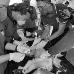 33681A2E-FF0A-4438-9745-801DCF14D86B