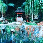 IMG-20220507-WA0002