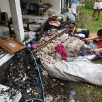 1667660412302_copy_320x240