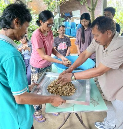 Proses pembuatan Segiri Kopi.