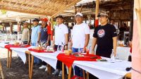Festival Mini Sail Boat Race