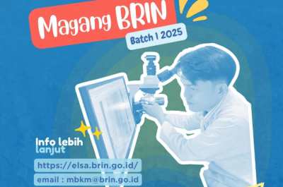 Magang Kemnaker 2025: Oase harapan di tengah gurun kerja