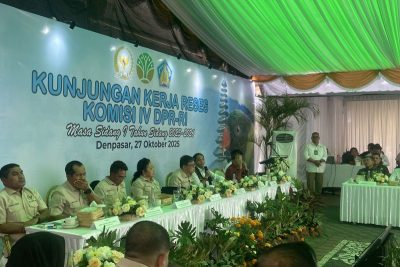 IMG_7496 Menhut minta maaf ke Papua soal kasus pembakaran mahkota cenderawasih