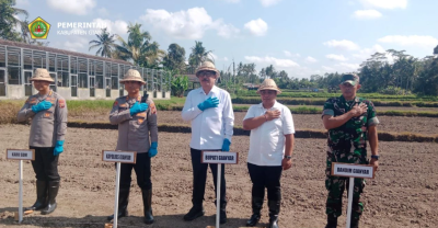 Wabup Agung Mayun Hadiri Penanaman Jagung