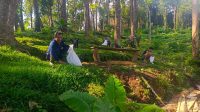 KPH Bali Utara Klarifikasi Isu Pembabatan Hutan di Desa Ambengan