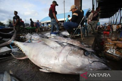 Saatnya membuka potensi laut untuk ekonomi Indonesia