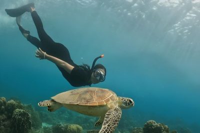 Menyelami keindahan bawah laut Pantai Nipah