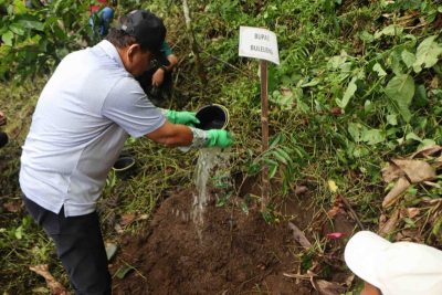 Bupati Buleleng tanam pohon untuk lestarikan hutan Ambengan