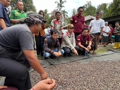 Distan Buleleng Dorong Penguatan Budidaya Kopi Lemukih