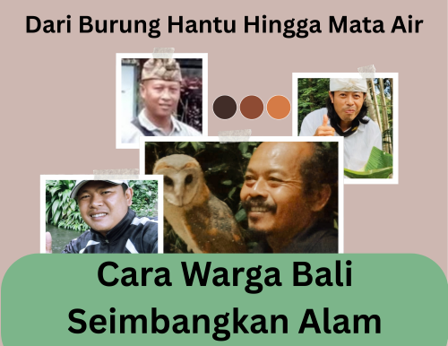 Burung Hantu