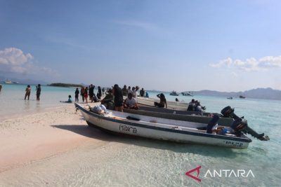 Upaya Balai TN Komodo selamatkan kerugian PNBP