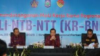 MoU Kerja Sama Regional Bali-Nusra, Pengembangan Ekonomi Regional Bersama