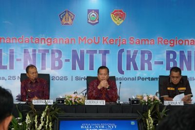 MoU Kerja Sama Regional Bali-Nusra, Pengembangan Ekonomi Regional Bersama