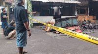 1000705444 Mata Elang