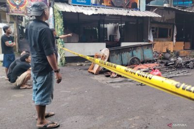 Mata Elang
