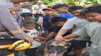 Polda Sumut hadirkan K-9 edukasi anak di pengungsian Tapanuli Selatan