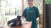 Bali Zoo buka wahana baru sambut libur tahun baru