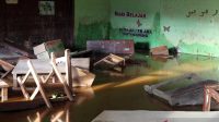 Batang Toru dalam tekanan: Urgensi menguatkan perlindungan hulu