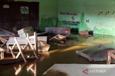 Batang Toru dalam tekanan: Urgensi menguatkan perlindungan hulu