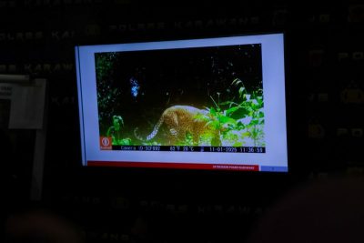 Lima Pemburu Macan Tutul Jawa di Gunung Sanggabuana Ditangkap