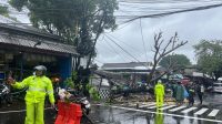Pohon Tumbang Timpa Mobil di Sunset Road, Petugas Bergerak Cepat