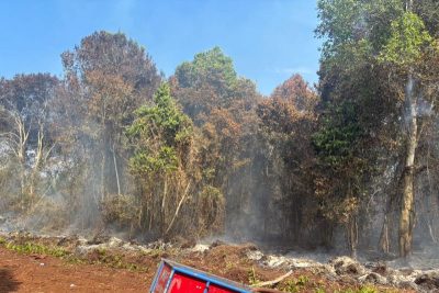 Polres Bengkalis Tetapkan Tersangka Kasus Perambahan Hutan