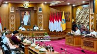 Dewan Ekonomi Nasional