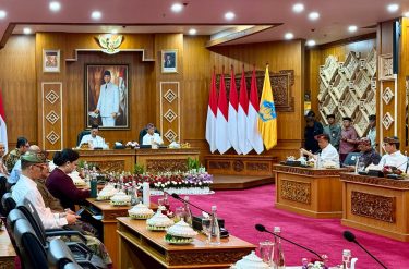 Dewan Ekonomi Nasional