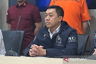 Interpol Resmi Keluarkan Red Notice terhadap Riza Chalid