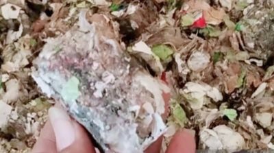 Karawang Mengolah Sampah Jadi Bahan Bakar Alternatif Sesuai Imbauan KLH