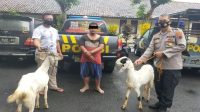 pencurian-ternak-kambing.jpg1 Buronan Setahun Pencuri Kambing di Gowa Dibekuk Polisi