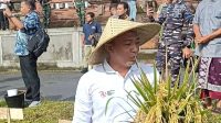 Anggota DPRD Gede Budiyoga Hadiri Panen Raya di Desa Taman