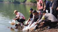 HUT Ke-422 Kota Singaraja, Pemkab Buleleng Tebar 30 Ribu Benih Nila