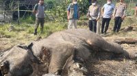 Polda Riau Tetapkan Tersangka Pemilik Lahan di Kawasan TN Tesso Nilo