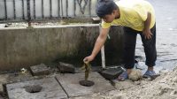 KEK Kura-Kura Bali Bangun Teba Moderen Jadikan Pasar Pusat Edukasi