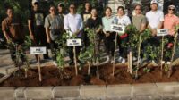 TP PKK Badung Perindah Ruas Jalan Kerobokan dengan Penanaman 150 Pohon Bugenvil