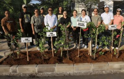 TP PKK Badung Perindah Ruas Jalan Kerobokan dengan Penanaman 150 Pohon Bugenvil