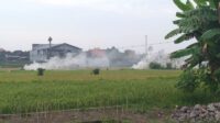 Dinkes Bali ingatkan bahaya bakar sampah bagi pernapasan