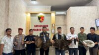 Polisi dalami perdagangan sisik trenggiling di Tapanuli Selatan