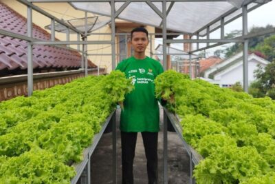 Membangun kemandirian pangan dari loteng sempit