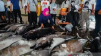 Ketika laut menjadi masa depan