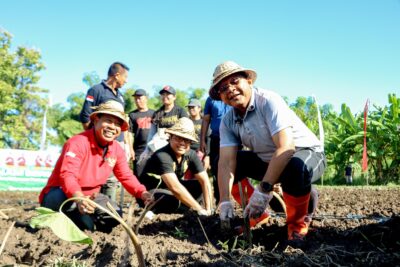 Perkuat Ketahanan Pangan, Bupati Sutjidra Kembangkan Demplot Padi Sudaji dan Sorgum di Eks Hutan Kota