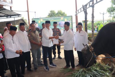 Bantuan Hewan Kurban Presiden RI diserahkan oleh Wakil Bupati Buleleng di Masjid Ar-Rahmah Tegallinggah.