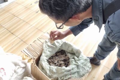 Kemenhut tahan tersangka penyelundup 3 ton sisik Trenggiling