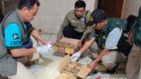 Tim gabungan di Bali gagalkan penyelundupan burung tanpa dokumen