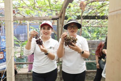 Ketua TP PKK Antari Jaya Negara Dorong Urban Farming dan Agrowisata Berkualitas