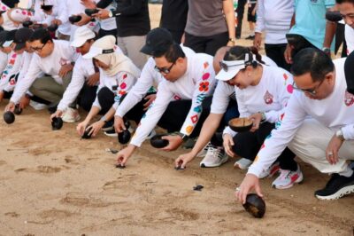 Pelepasan Tukik di Pantai Sanur, Rakerkomwil IV APEKSI di Denpasar Ditutup